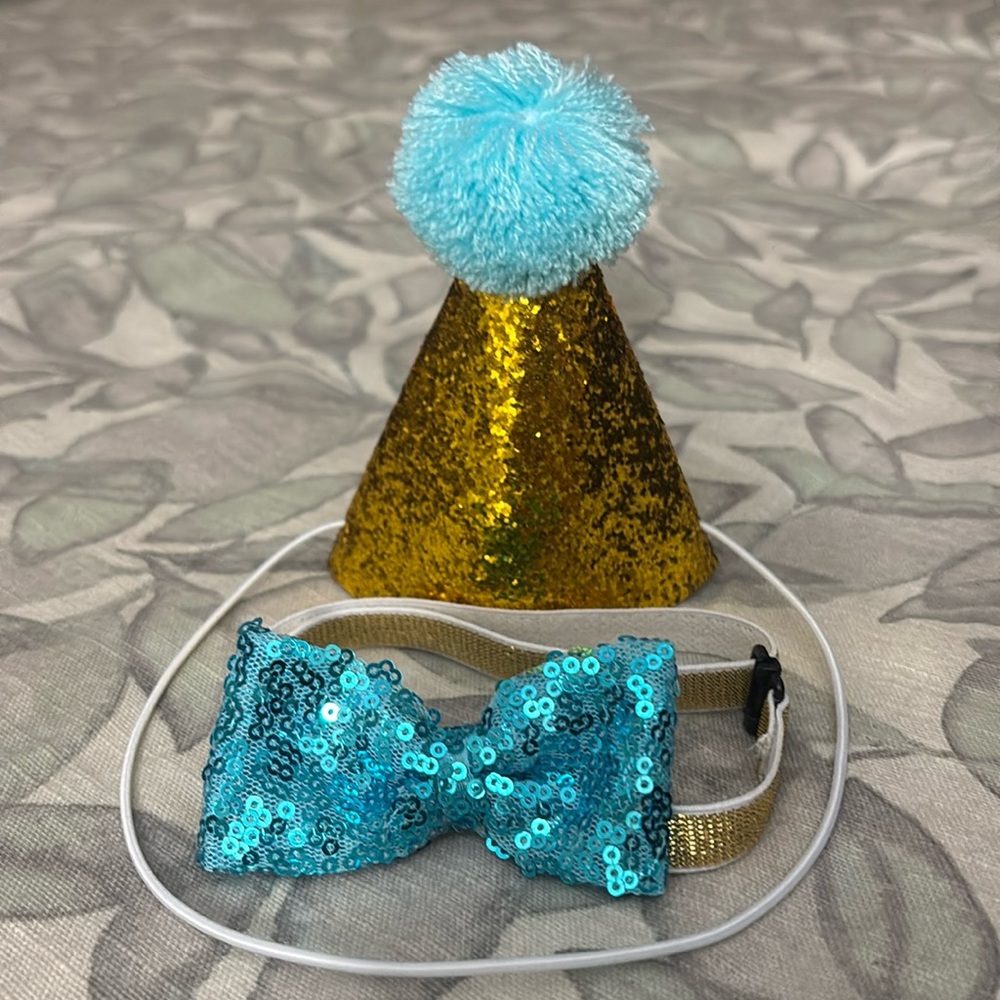 Dog Birthday Hat & BowTie